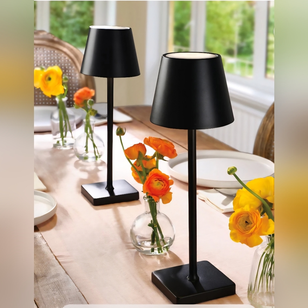 Cordless Rechargeable Set of 2 Table Lamps